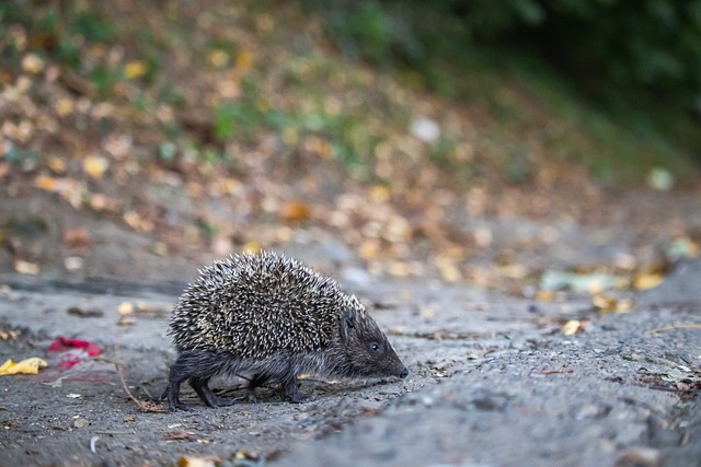 风暴到底是 风暴到底是