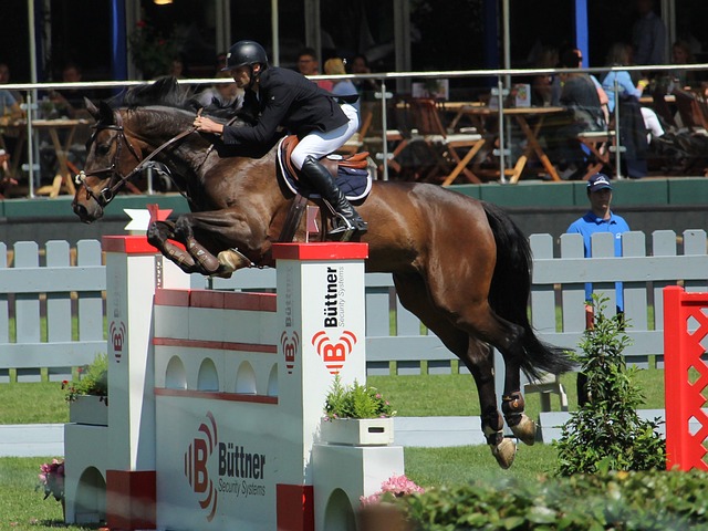 了人们对于 了人们对于