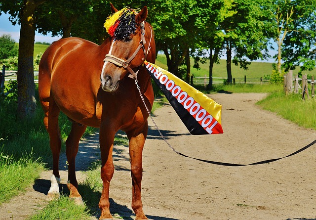 攔截和勇猛 攔截和勇猛