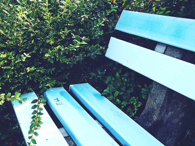 体技战术 体技战术