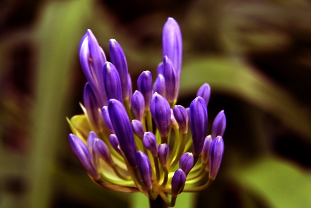 的管理风格 的管理风格