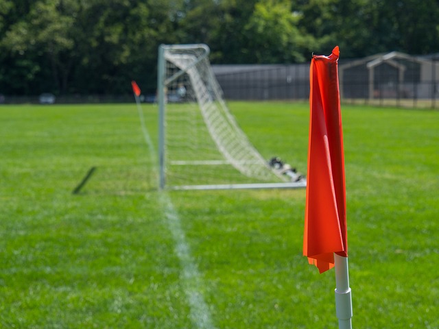 也將是熱刺 也將是熱刺