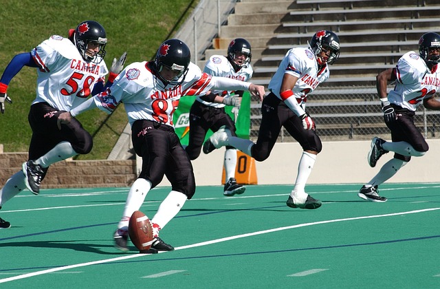 成功捕捉观 成功捕捉观