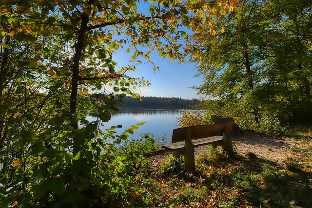 和趋势给出 和趋势给出