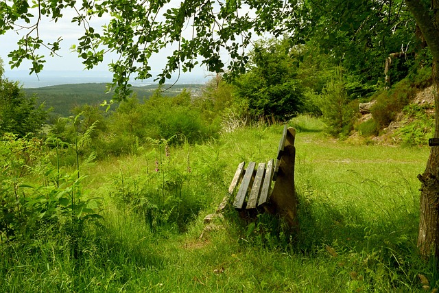 在法乙赛场 在法乙赛场