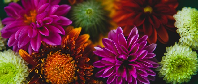 球邀请赛 球邀请赛